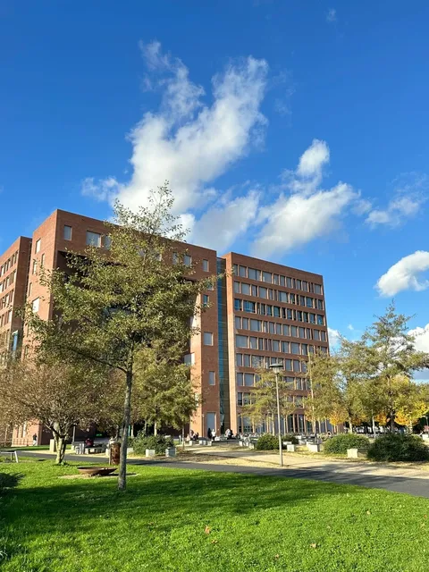 Truly Feeling Like WUR is the "European Hengshui"