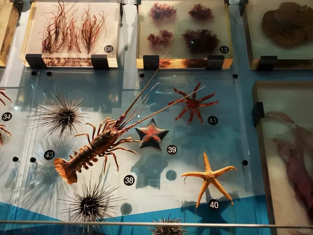 Tokyo Exhibition | National Museum of Nature and Science 🌌