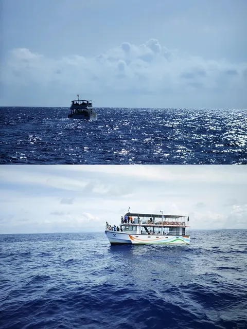 Sri lanka travel about Mirissa