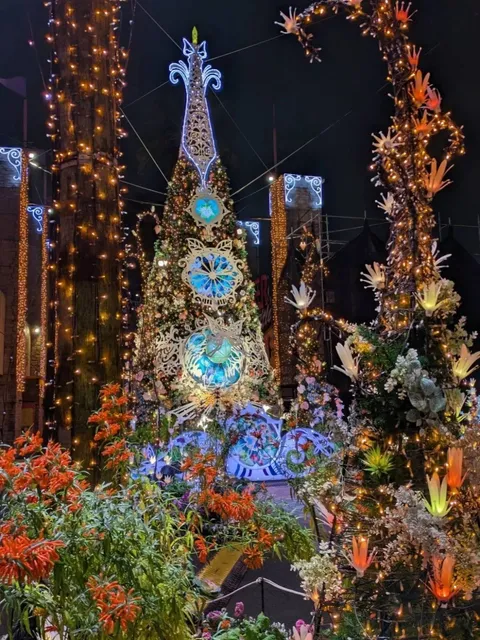 Osaka Higashiosaka Park Night Cherry Blossom Illumination❗️