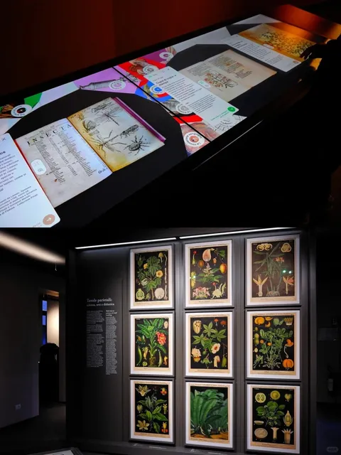 🇮🇹 "Old" Padua Botanical Garden? It's Actually AMAZING! 🌿😍