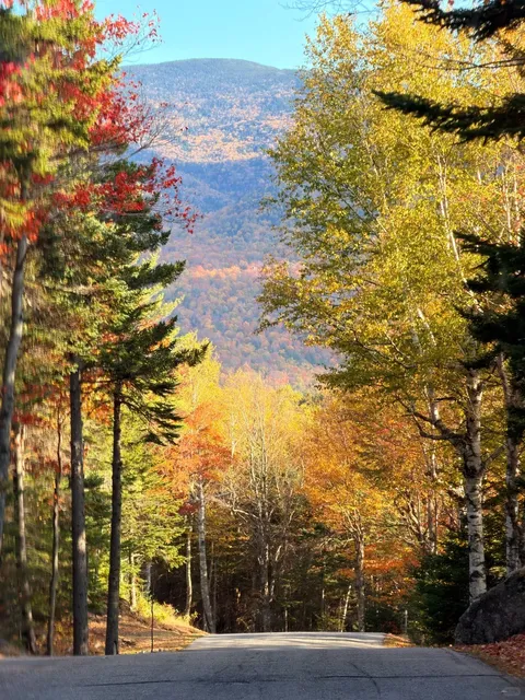 Autumn Through the Telephoto Lens 🍁📸  