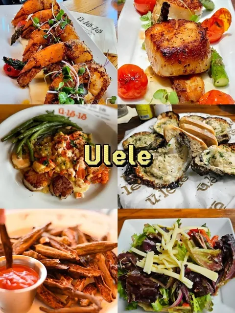 Must-Try Restaurants in Florida’s Top 3 Cities 🌹🍽️