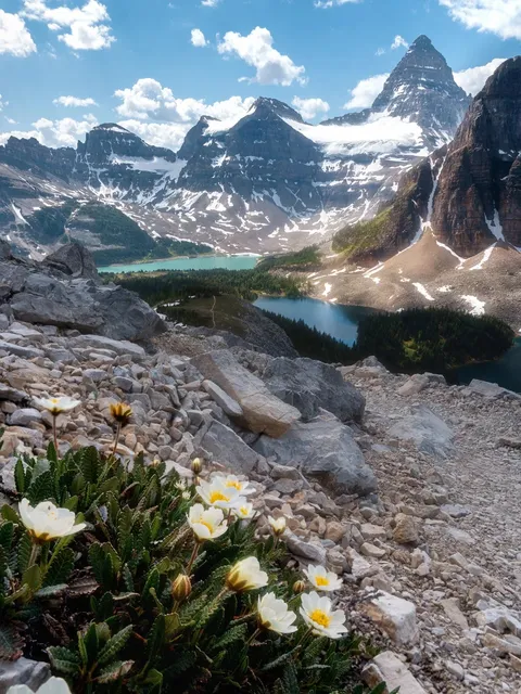 The Matterhorn of Canada – A Snowy, Floral Paradise in BC’s Mountains