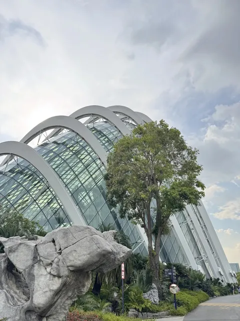 Who visits Singapore without coming here?