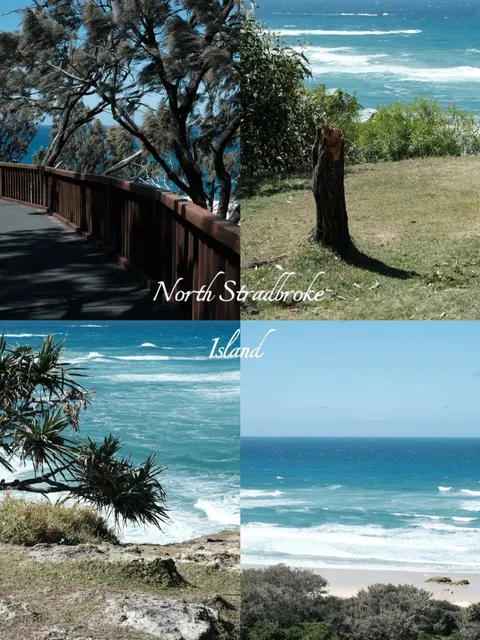 Brisbane · North Island Day Trip 🏝️🌊