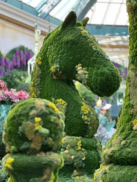 🇺🇸 Las Vegas｜Glam Menagerie: A Surrealist Summer 🦒🎪