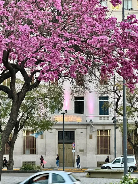 🇦🇷 Weekend Adventures in Argentina | Spring Edition