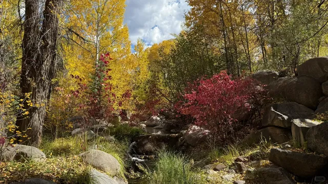 John Denver Sanctuary: A Tribute in Aspen .🌲🎶✨