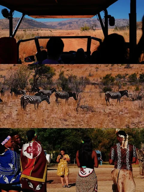 Go on SAFARIS to chase animals across the savannah