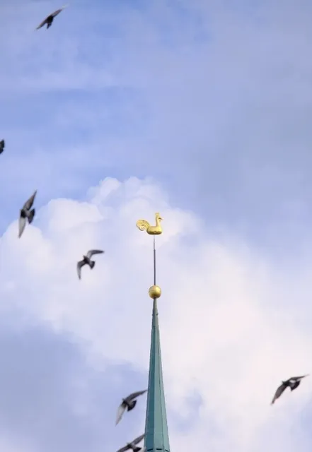 🇱🇻 Riga: Half-Day Discovery of the Baltic Pearl