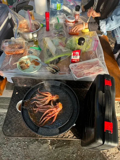 🌌 Vancouver’s Best-Kept Secret Locals Won’t Tell You About!