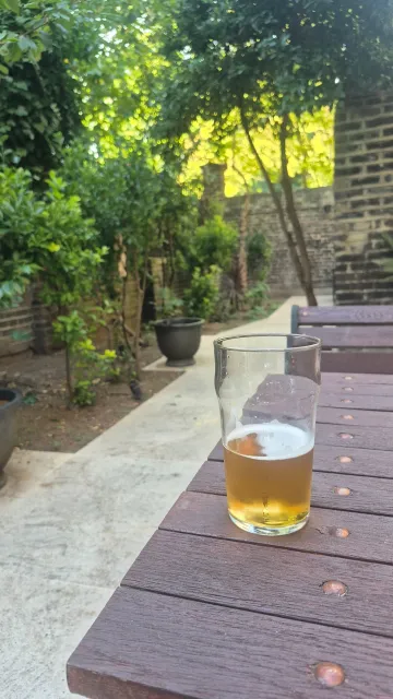 Absolutely Wonderful! 🏡💫