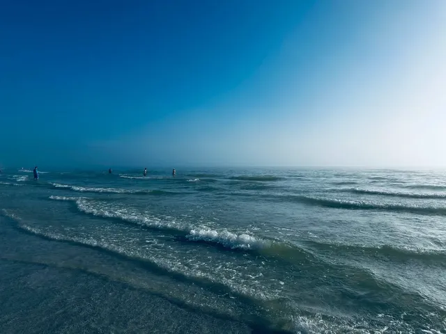 Tampa —> Sarasota Winter Escape Guide Part 2