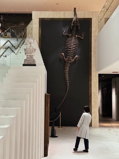 Intermediatheque | The University of Tokyo Museum in a Shopping Mall 