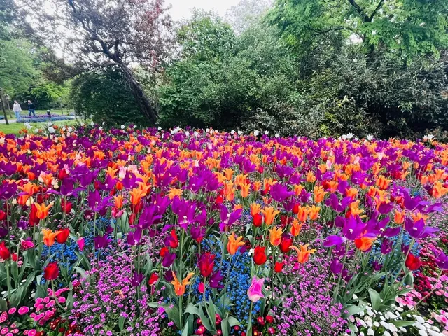 🇩🇪 A Rainbow Blooms in Augsburg's Botanical Wonderland 🌈🌿