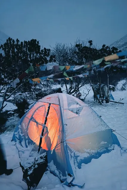 🏔️ Mt. Emory: Where Glaciers Whisper “Conquer Me” ❄️