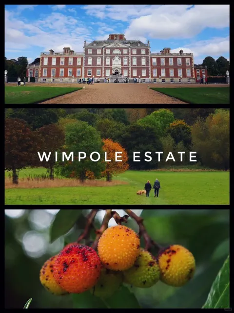 Near London | Great Spots for Mansions, Farms, and Family Outings 🏡