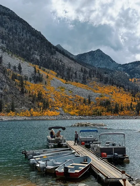🍁 Unexpected Beauty Along the Yosemite Route 