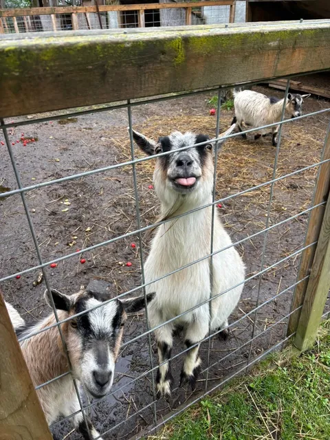 🇨🇦 Ottawa's Most Unique Private Zoo Adventure! 🦘🌿
