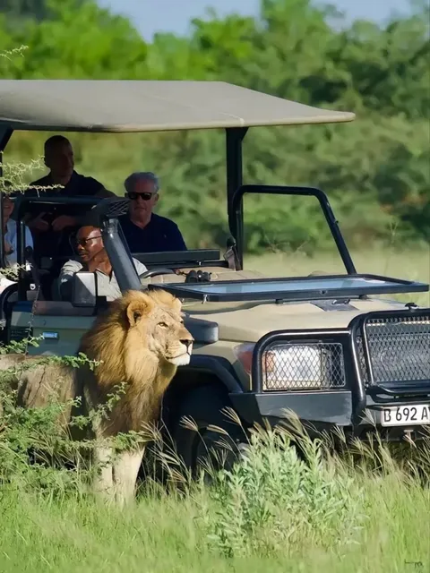 South Africa is definitely an underrated travel destination