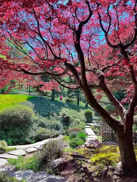 Philadelphia Shofuso | A Hidden Kyoto Garden on the East Coast 🌿🏯