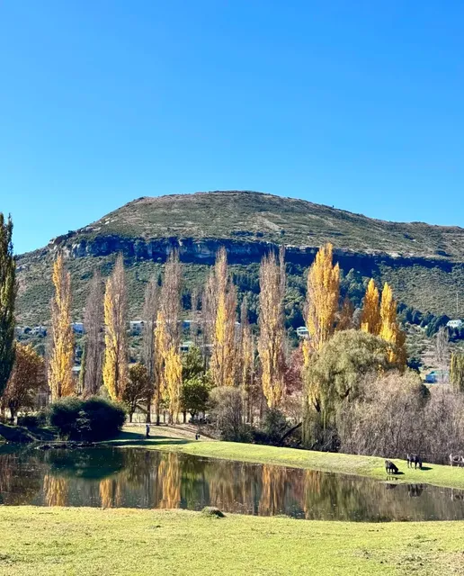 This mountain road in South Africa is breathtakingly beautiful!