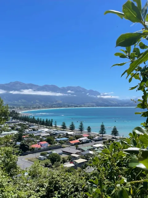 🇳🇿 The Wild Lounger's Guide to Kaikōura