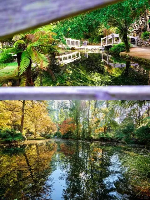 Alice in Wonderland Hidden in Melbourne 🧚‍♀️