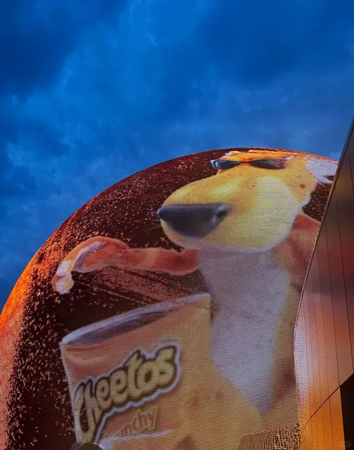 🇺🇸 Las Vegas Eats, Sights & Thrills🤸‍♀️