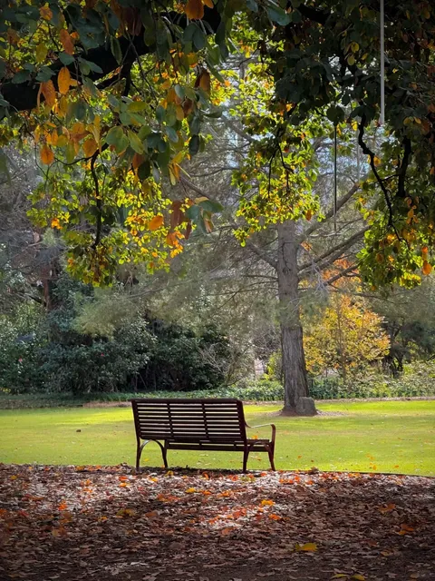 🌿 Albury: A Cozy Border Town Between NSW & VIC