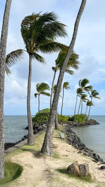 Honolulu 7-Night Solo Run