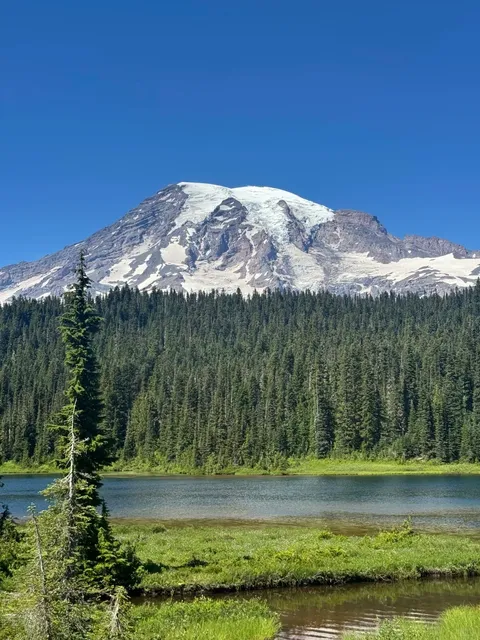 🌟 Seattle | Dreamy Day Trips