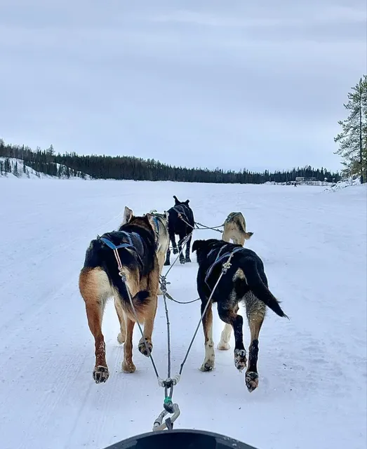 Yellowknife Travel Guide