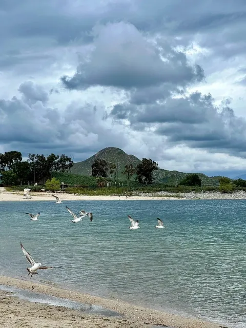 🏖️ Riverside Has a BEACH Now? Yes! 🏖️