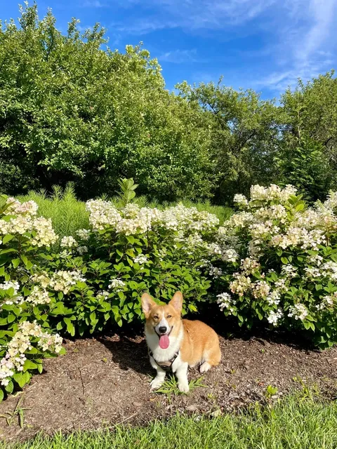 Cincinnati Day-to-Day | ✨