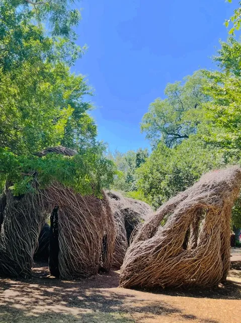 🌼 Dallas Travel | The Ultimate Guide to Texas’ Blossoming Wonderland