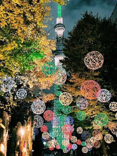 🎄 Christmas Illuminations at Ushimado Shrine