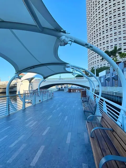 Tampa’s Free Adventure Guide | 6 Must-Visit Spots for $0! 💸✨