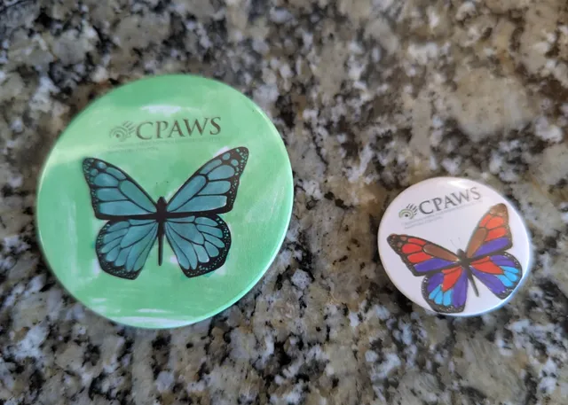 🦋 Living Prairie Museum Monarch Festival - A Celebration of Wings