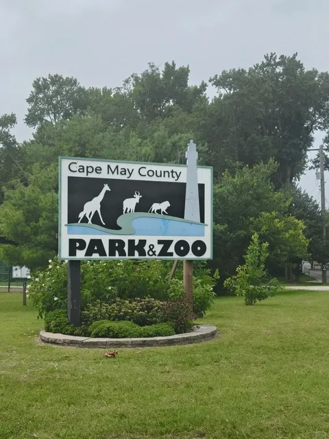 Cape May County Zoo | NJ’s Free Safari Adventure 🦒🚗  