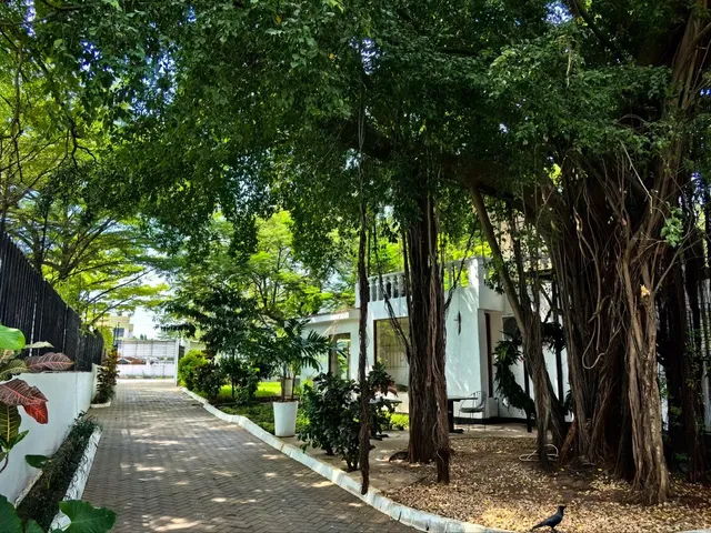  Australia's Best-Kept Coffee Secret: Where Locals Really Go!☕