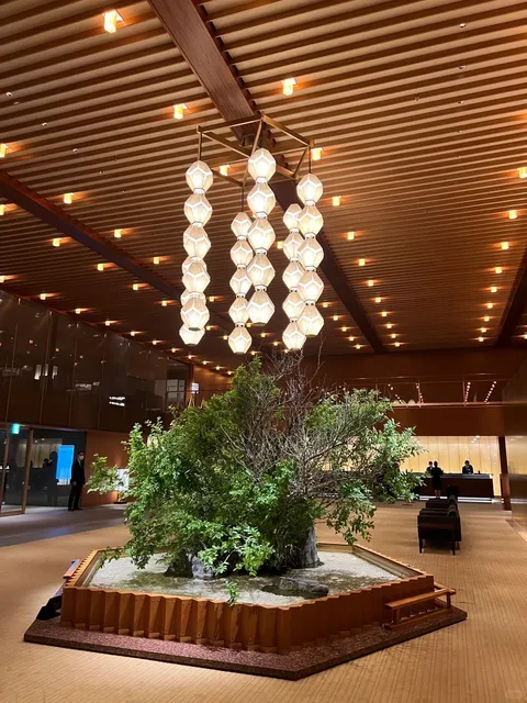 Tokyo Hotel Review(1)