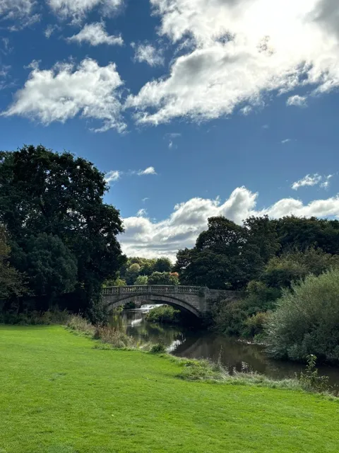 🏴 Glasgow PLOG | Sunny Day with Highland Cows! 