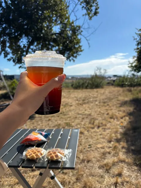 Camping at Fort Casey, Seattle