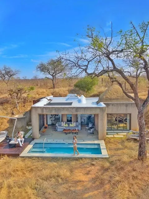 The ultimate dream of the animal kingdom, the epitome of luxury