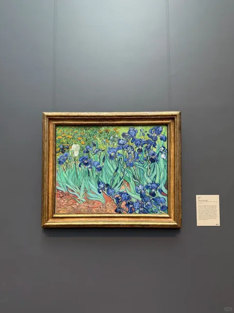 Day 2 in Los Angeles 🌅