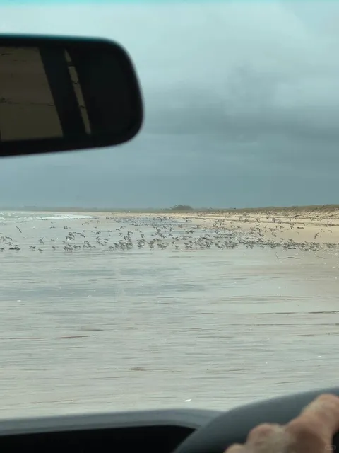 Darwin | Driving Right Into the Ocean 🌊