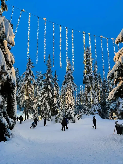 Happy Times at the Vancouver Ski Resort