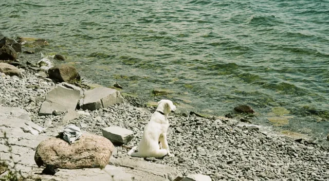  A Serene Afternoon by Lake Ontario: Kingston’s Lakeside Reverie 